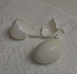 Eggshell