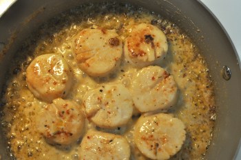 cooking scallops