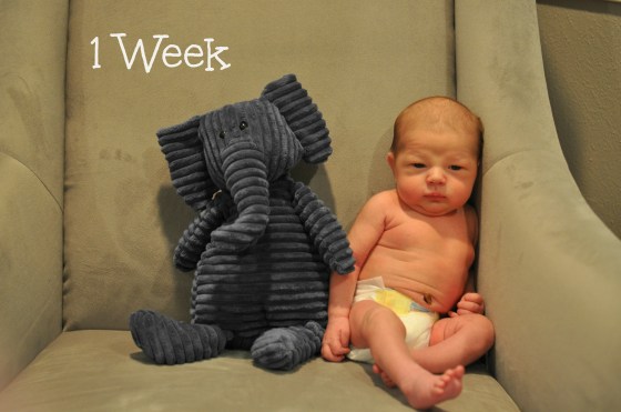 Jack 1 week