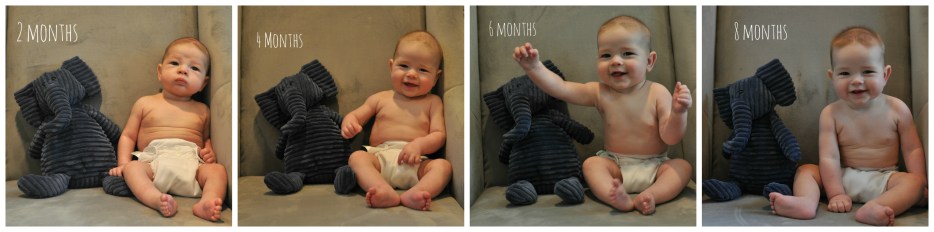 8 month Collage