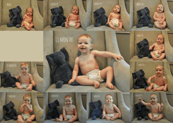 11 month collage