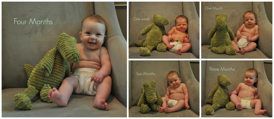 Four Month Collage